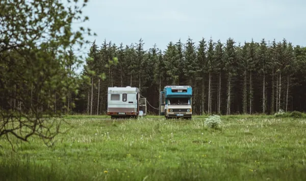 緑の草原に停車した2台のキャンピングカーと奥に広がる森林