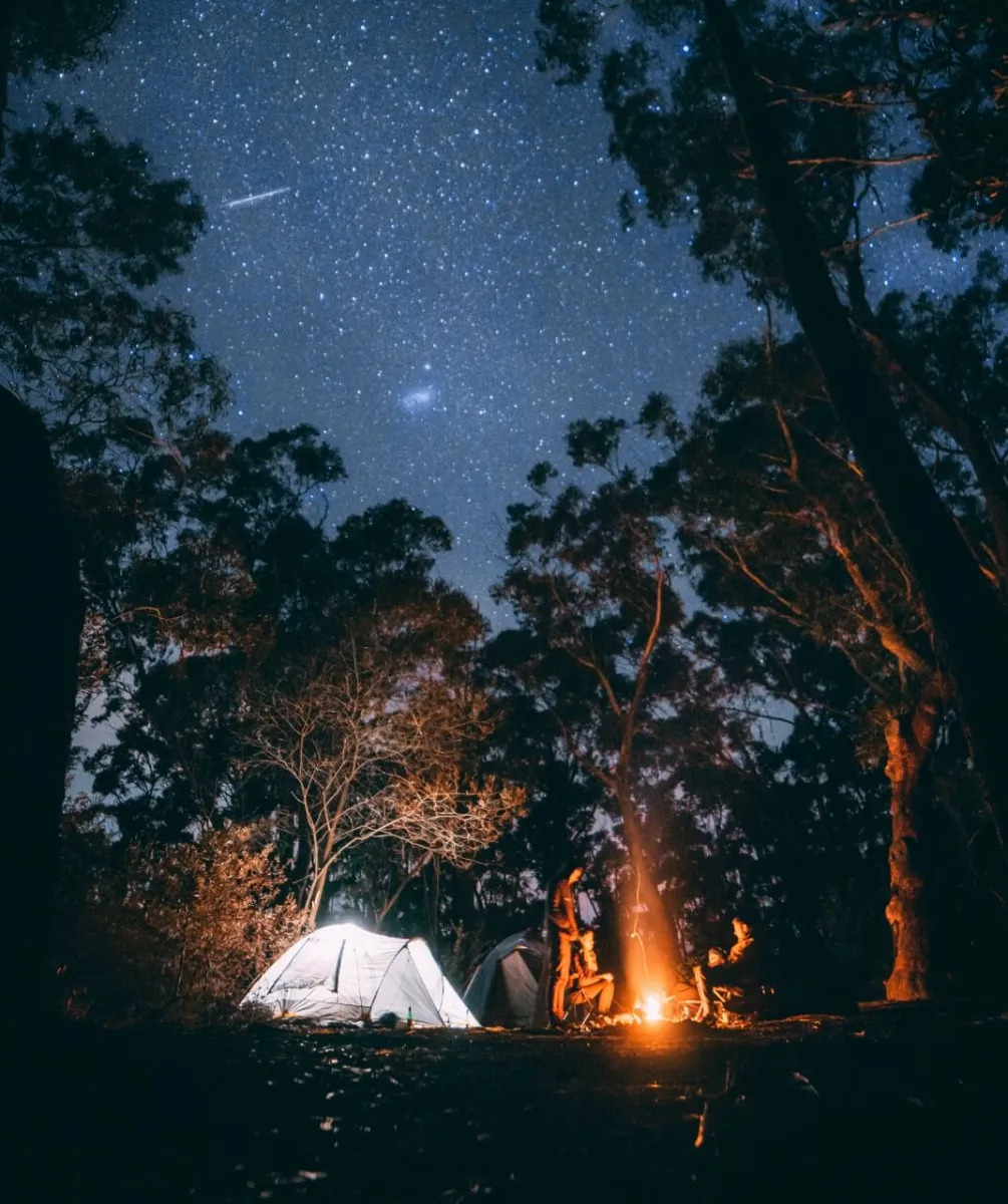 夜の森で、焚き火を囲む人々とテントが設営されたキャンプ風景