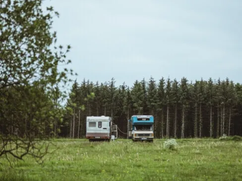 緑の草原に停車する2台のキャンピングカーと背景の針葉樹林