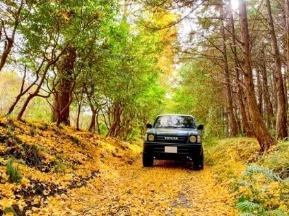 黄葉の絨毯が敷かれた林道に停車するトヨタSUVの正面ビュー
