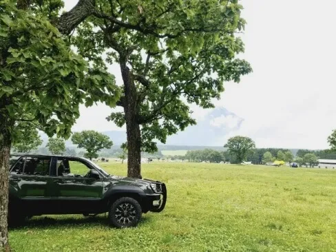 緑豊かな草原で木陰に停車する黒いSUVと遠くのキャンプサイト