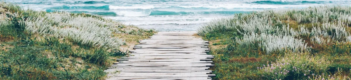 草花に囲まれた木の板道が続き、奥に青い海と白波が見える風景