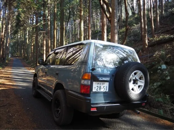 杉林の中の細道に停車中のSUVを後方から捉えた写真